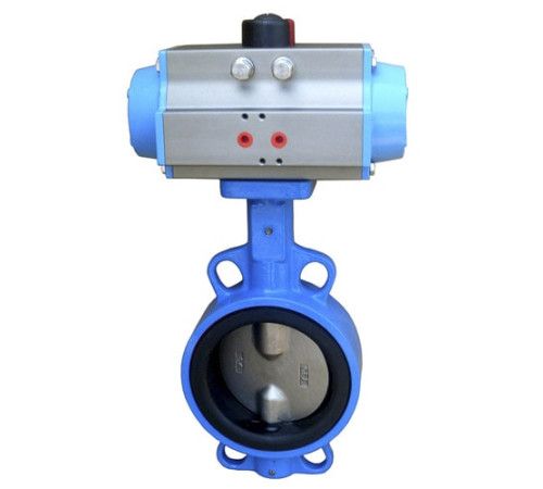 Затворы дисковые с пневмоприводом в Речице для предприятий